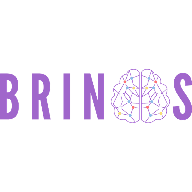 BRINOS Logo